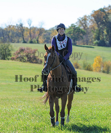 Cheshire(10-19-14)0206