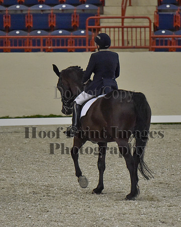 CWdressageII(8-21-16)0317