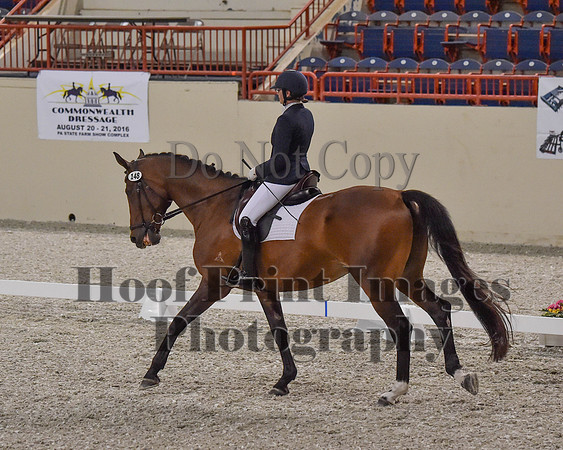 CWdressageII(8-21-16)0418