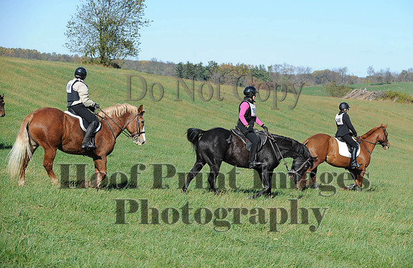 Cheshire(10-19-14)0381
