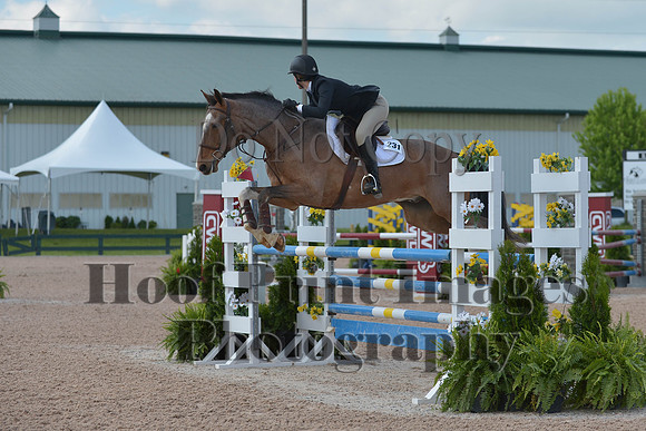 BRSa(5-17-14)HChAdJ0110