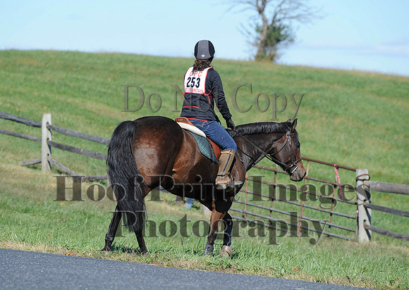 Cheshire(10-19-14)0083