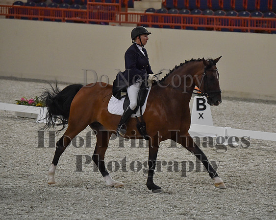 CWdressageII(8-21-16)0772