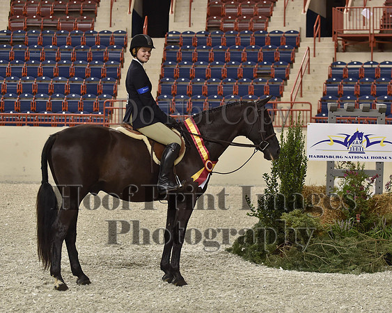 HarrisburgHS(8-23-15)1157
