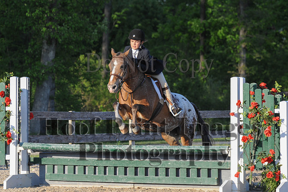 BRSa(5-17-14)SMChP0096