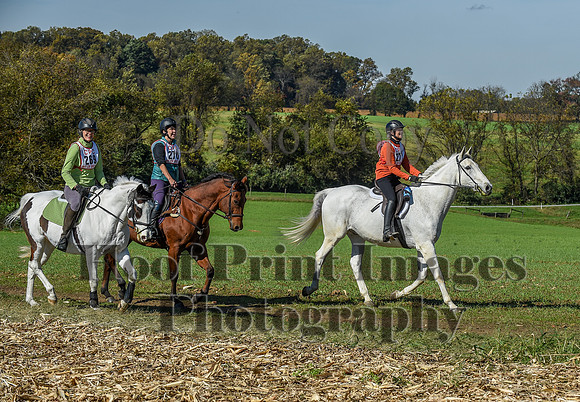 CheshirePC(10-18-20)0574