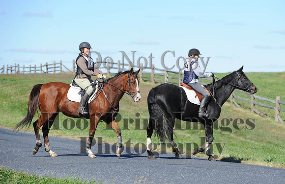 Cheshire(10-19-14)0152