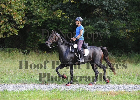 ChesapeakeCTR(9-20-14)0339