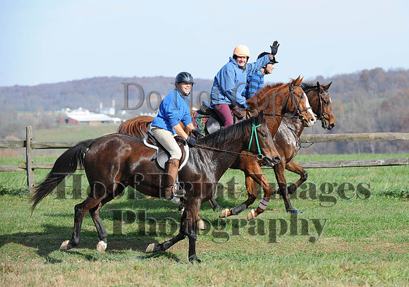 AndrewsBr(11-9-14)0230