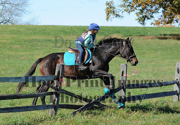 Cheshire(10-19-14)0155