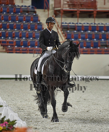 CWdressageI(8-20-16)1656