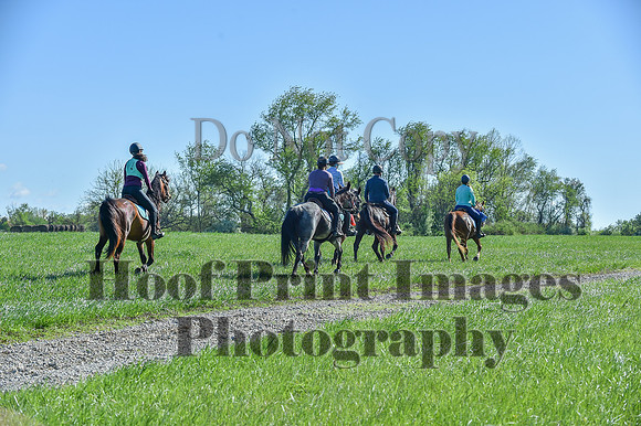 ChesapeakeSpring(4-27-25)0501