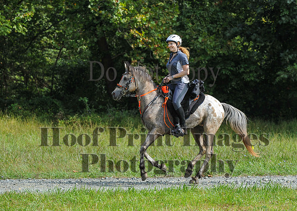 ChesapeakeCTR(9-20-14)0427