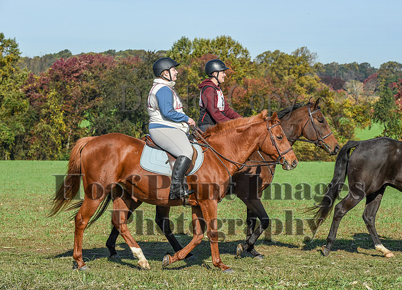 CheshirePC(10-18-20)0160