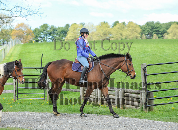 MrStewartsCheshirePC1(4-27-25)0118