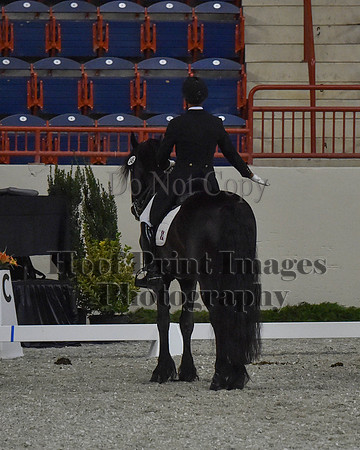 CWdressageII(8-21-16)0614