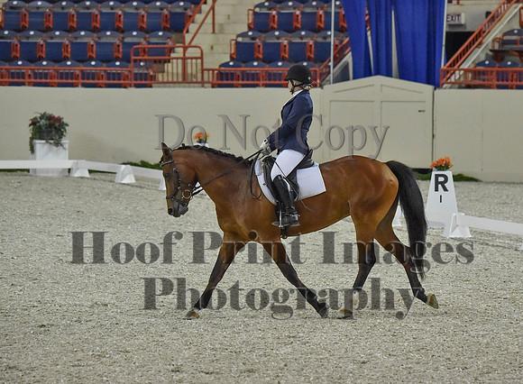 CWdressageI(8-20-16)0262