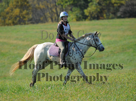 Cheshire(10-20-13)0688