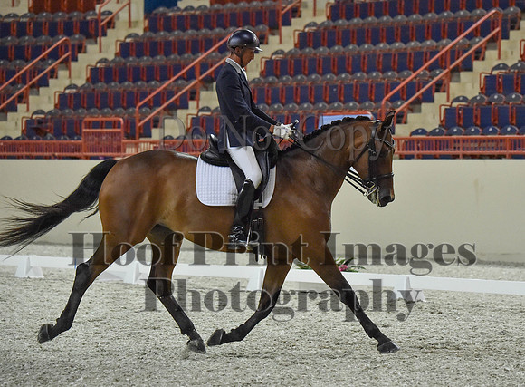 CWdressageI(8-20-16)1352