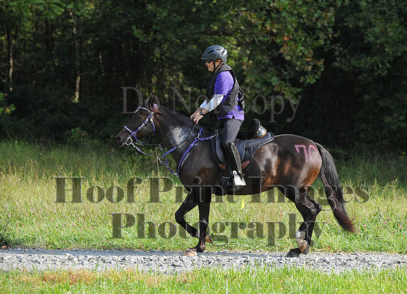 ChesapeakeCTR(9-20-14)0211