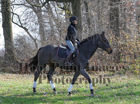 AndrewsBr(11-9-14)0261