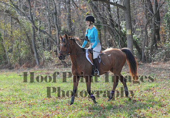 AndrewsBr(11-9-14)0606