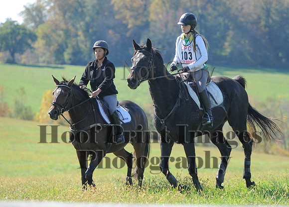 Cheshire(10-20-13)0078