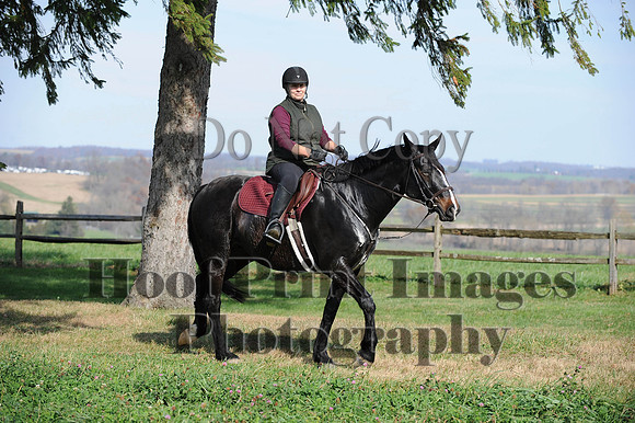 AndrewsBr(11-9-14)0200