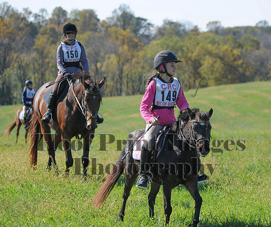 Cheshire(10-20-13)0446