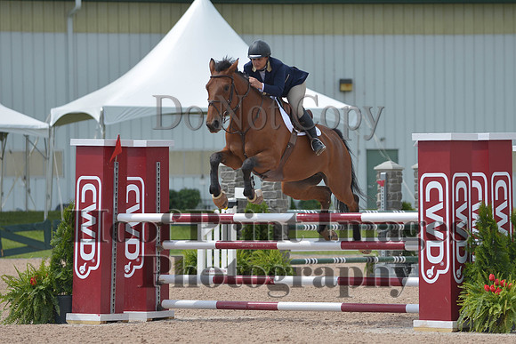 BRSa(5-17-14)HChAdJ0172
