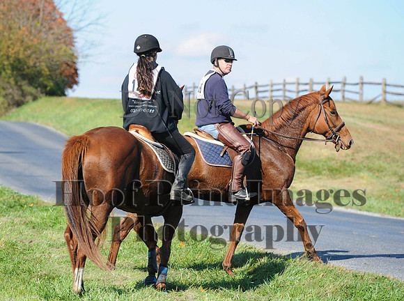 Cheshire(10-20-13)0529