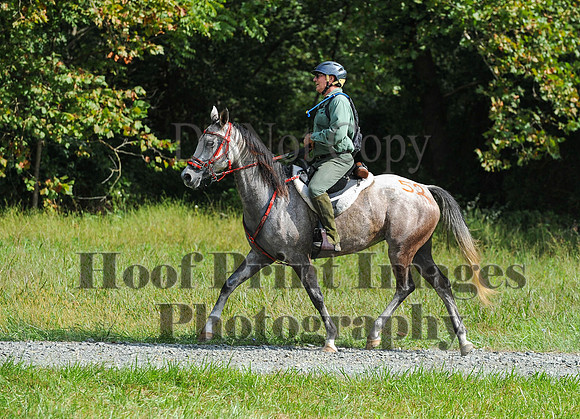 ChesapeakeCTR(9-20-14)0556