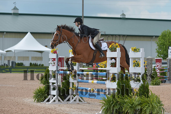 BRSa(5-17-14)HChAdJ0190