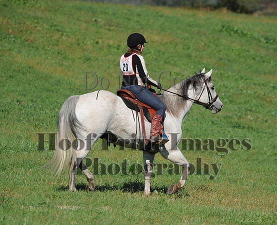 Cheshire(10-20-13)0393