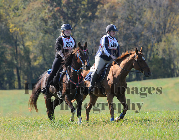 Cheshire(10-20-13)0324