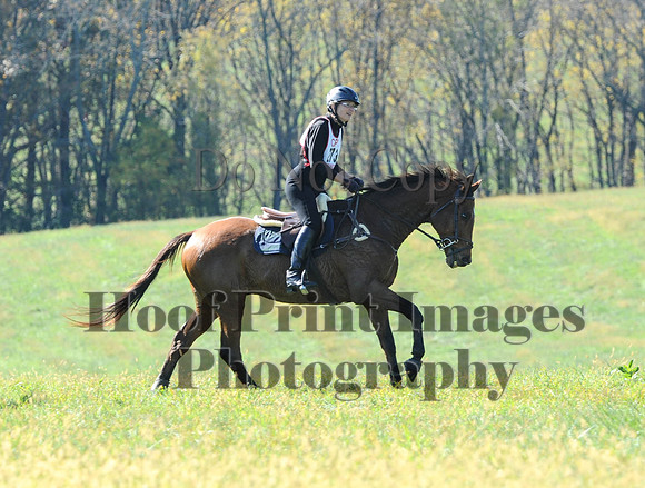 Cheshire(10-20-13)0514