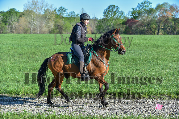 ChesapeakeSpring(4-27-25)0177