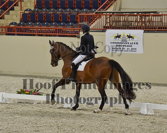 CWdressageII(8-21-16)0424