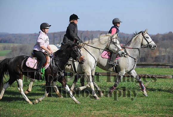 AndrewsBr(11-9-14)0051