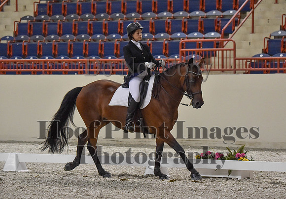 CWdressageI(8-20-16)0843