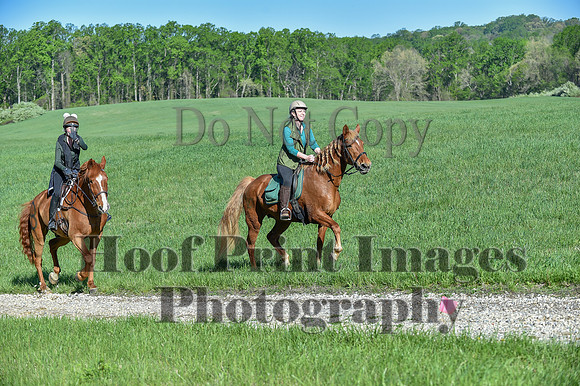 ChesapeakeSpring(4-27-25)0249