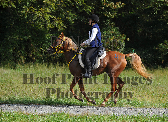ChesapeakeCTR(9-20-14)0251