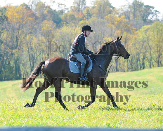 Cheshire(10-20-13)0718