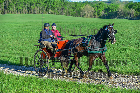ChesapeakeSpring(4-27-25)0072