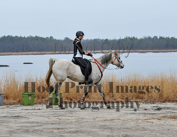 Rabbit(3-29-14)0065