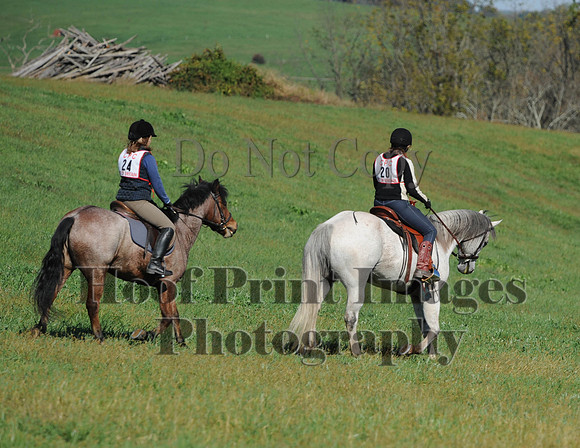 Cheshire(10-20-13)0398