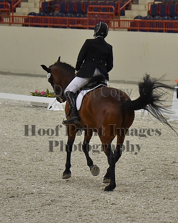 CWdressageII(8-21-16)1616