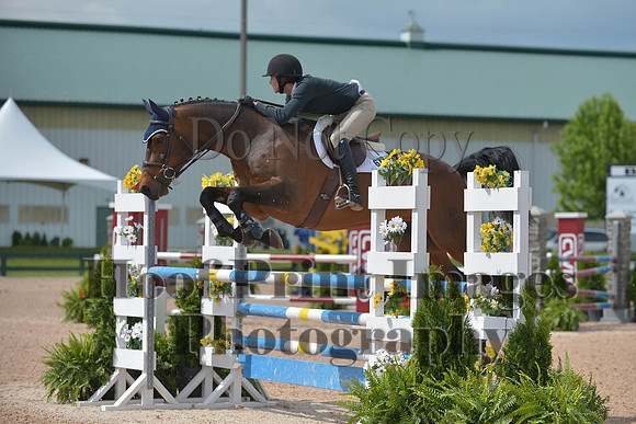 BRSa(5-17-14)HChAdJ0160