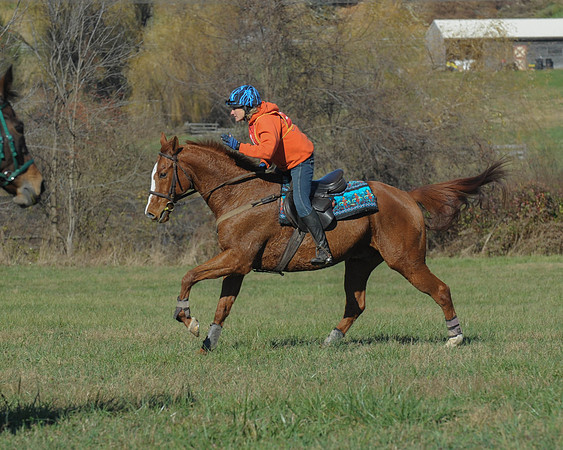 BHPC(11-15-15)0260