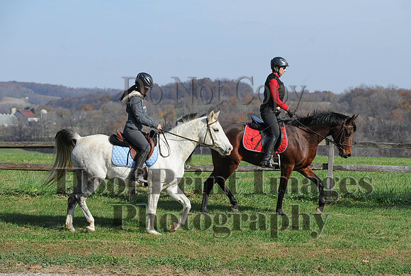 AndrewsBr(11-9-14)0121